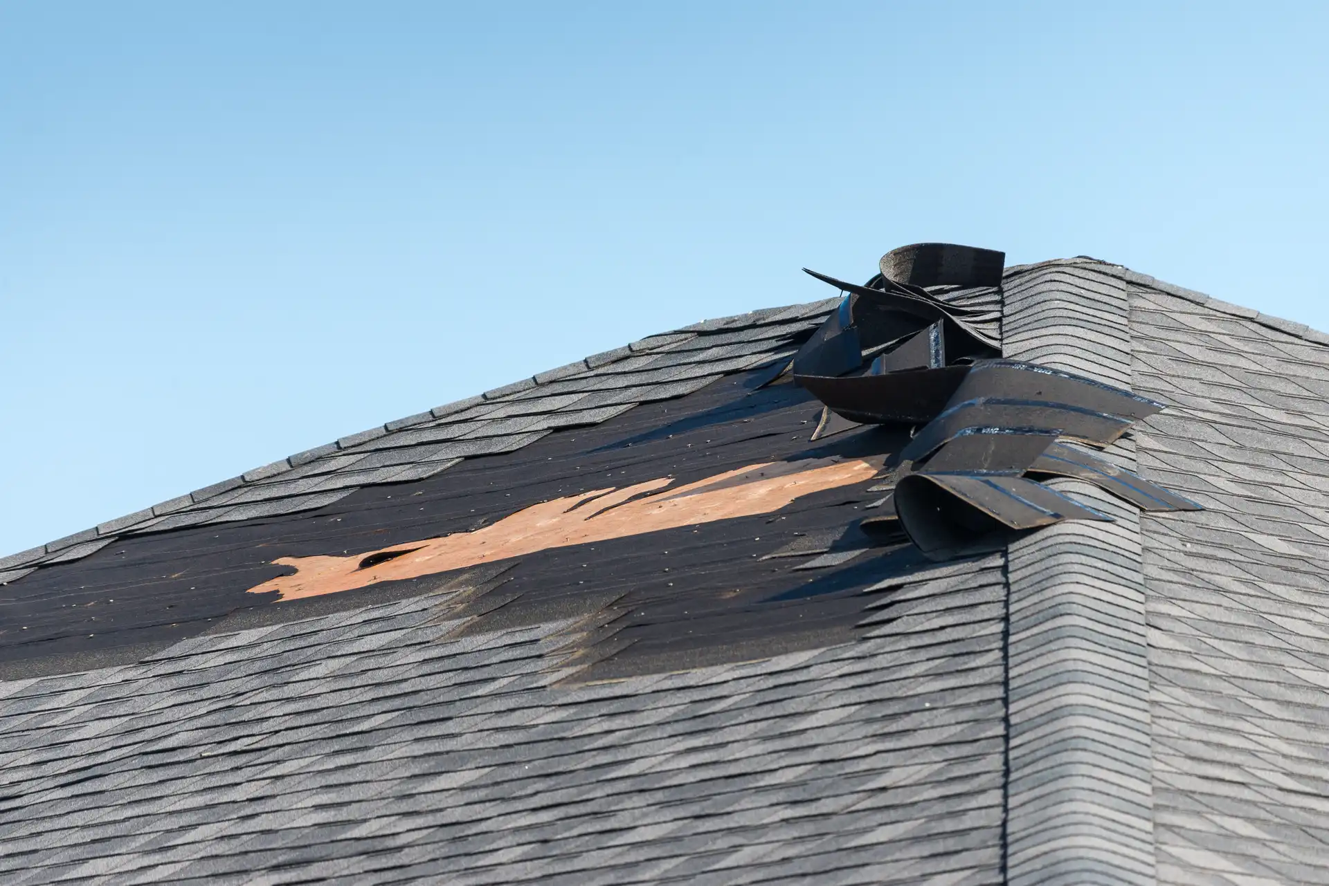 Wind Damage Roof Shingles